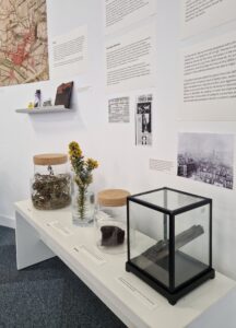 Exhibition displays with posters on the walls, flowers and objects in glass boxes.