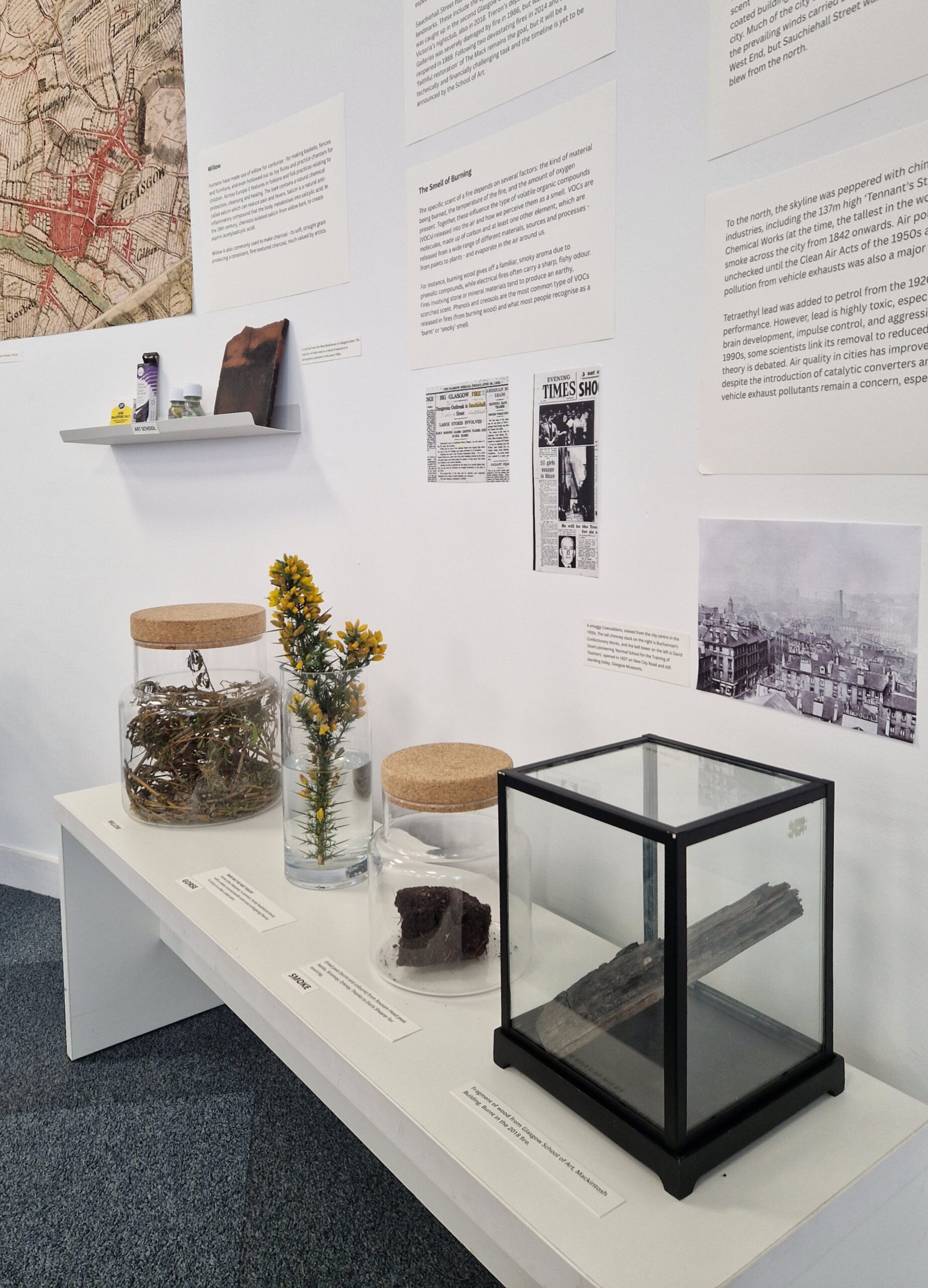 Exhibition displays with posters on the walls, flowers and objects in glass boxes.