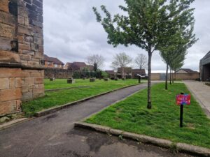 View of open, grassed area